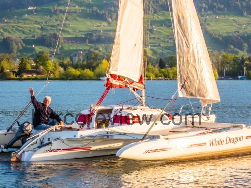 Dragonfly 800 Swing Wing ficha tecnica 